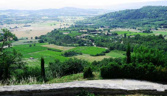 Panorama of vineyards in Provence